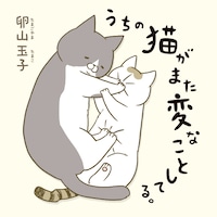 卵山玉子「うちの猫がまた変なことしてる。」