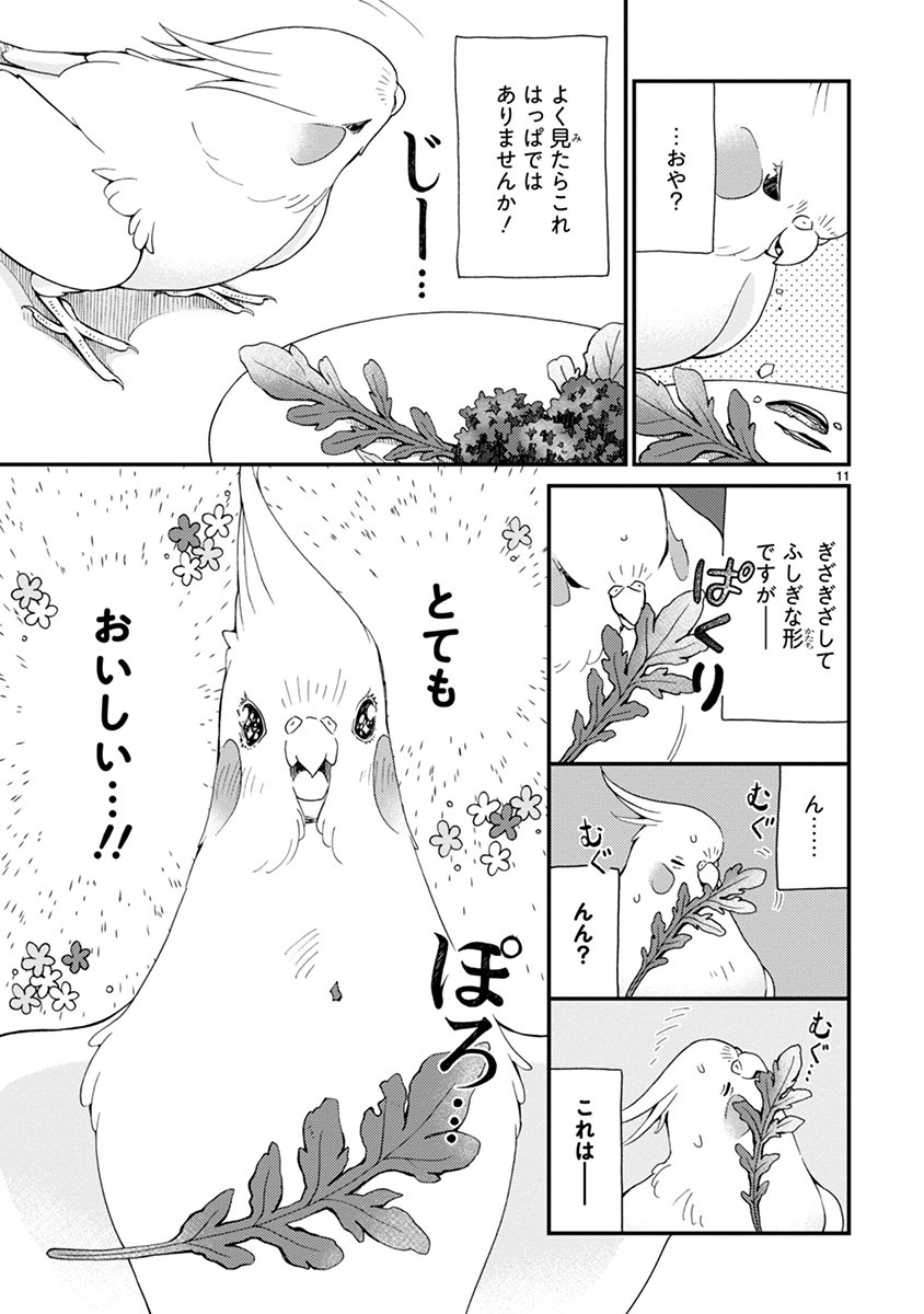 「とりの、いそじさん。」より。