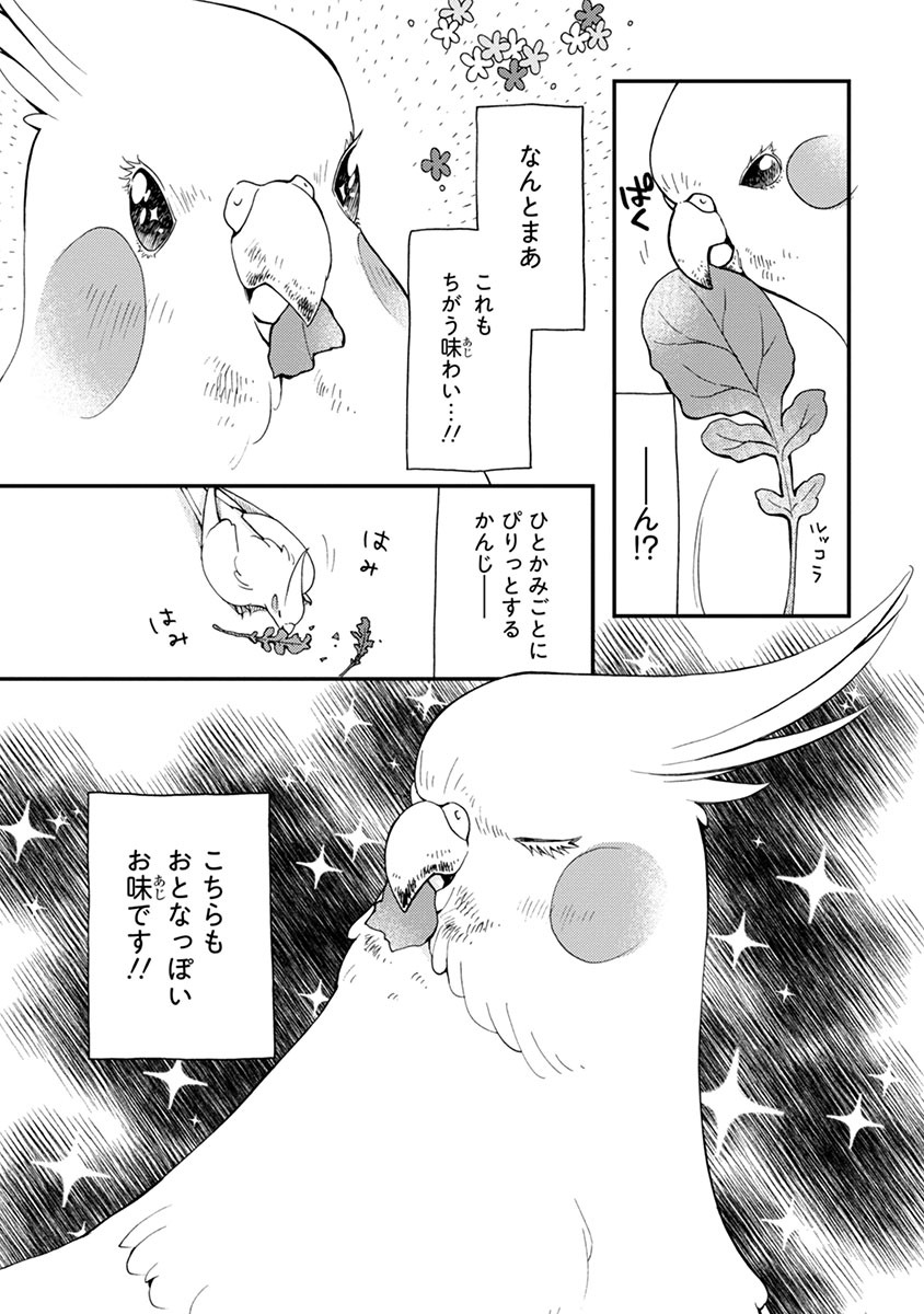 「とりの、いそじさん。」より。