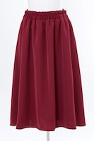 SolidSモデルのスカート。