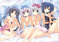 とらのあなブースで購入した「ありすorありす ウェルカムパーティー」のチケットに付属するタペストリー。