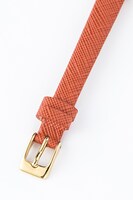 DRAMATIC STARSモデル