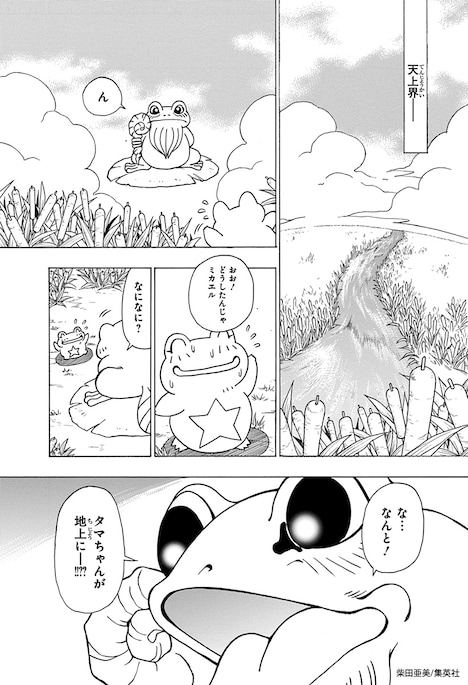 「HEROES」より。(c)集英社/柴田亜美