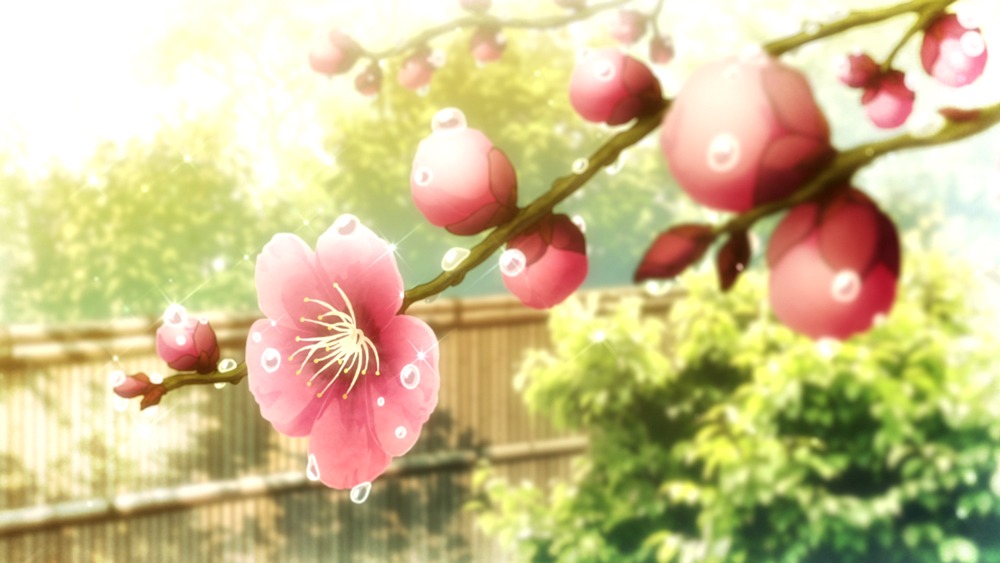 アニメ「恋は雨上がりのように」の場面写真。