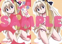 とらのあな特典の描き下ろし4Pリーフレット（外面）。