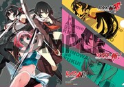 「ヒノワが征く！」1巻、「アカメが斬る！1.5」、「アカメが斬る！零」8巻をゲーマーズ各店で同時購入するともらえるクリアファイル。