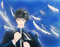 「八雲立つ」愛蔵版1巻の表紙イラスト。