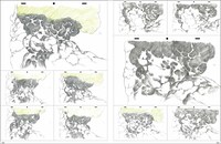 「磯光雄 ANIMATION WORKS vol.2」より「BLOOD THE LAST VAMPIRE」の原画。(c)2000 Production I.G/ANX・SCEI・IPA