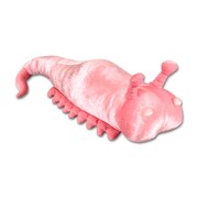 ダブルゲット賞「ウェントリコススぬいぐるみ」