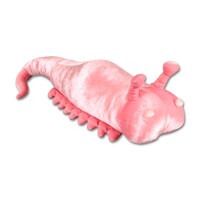 ダブルゲット賞「ウェントリコススぬいぐるみ」