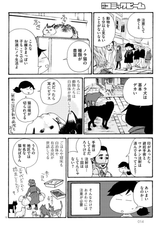 「わたし今、トルコです。」より。