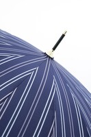 乱藤四郎モデル