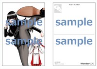 WonderGOOの購入特典。