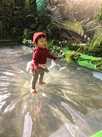 「MOVE 生きものになれる展 -動く図鑑の世界にとびこもう！-」の参考画像。