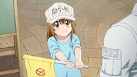 テレビアニメ「はたらく細胞」場面写真