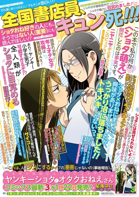 「ヤンキーショタとオタクおねえさん」3巻のポスター。
