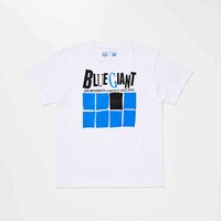 Tシャツの1種。