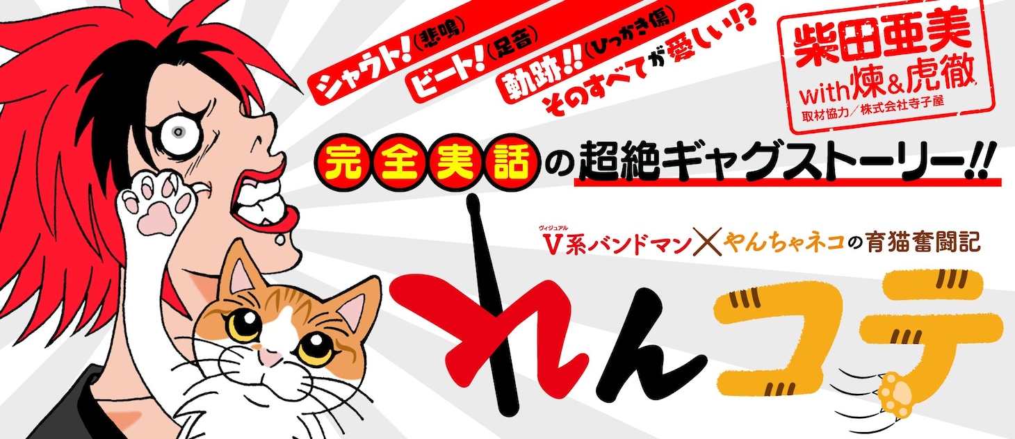 「れんコテ V系バンドマン×やんちゃネコの育猫奮闘記」のバナー。