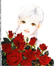 いくえみ綾「バラ色の明日」