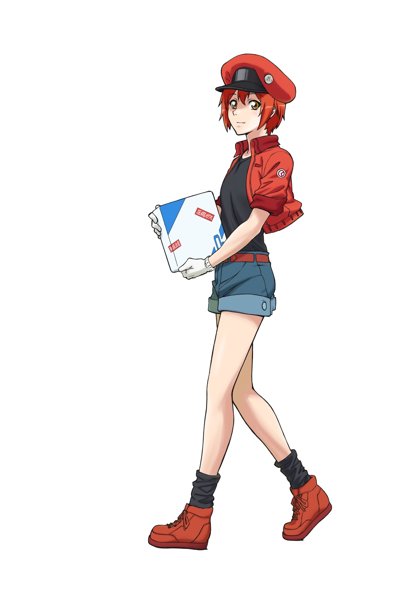 赤血球のキャラクタービジュアル。
