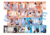 トレーディングミニ色紙（全22種）