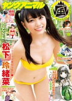 ヤングアニマル嵐3号