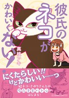 「彼氏のネコがかわいくない！」帯付き
