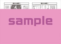 ゲーマーズの特典サンプル（ウラ）。