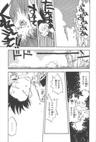 「サンディと迷いの森の仲間たち」より。