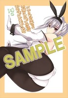 とらのあなの特典サンプル。