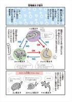 「難解な腐女子」より。