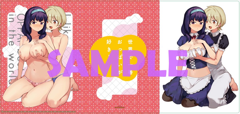 ゲーマーズの有償特典。