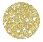 ヤグルマギクの布パターン図柄。