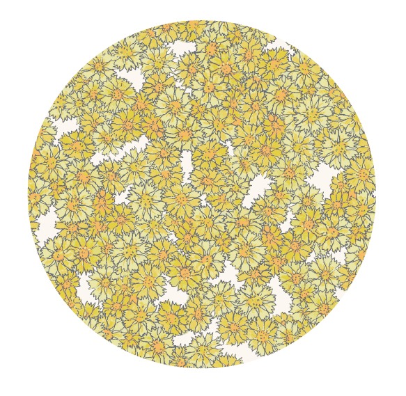ヤグルマギクの布パターン図柄。