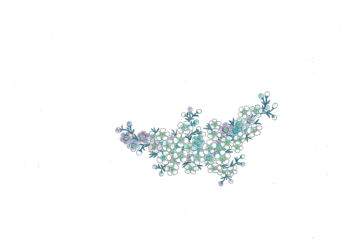 ワックスフラワーの描き下ろしカット。