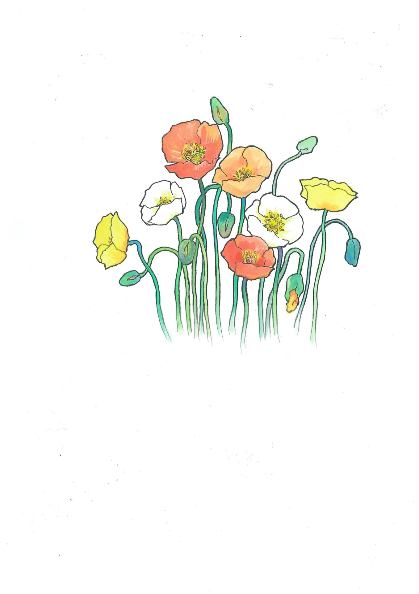 ポピーの描き下ろしカット。