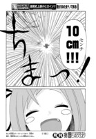 「我らちみたまナノである！」より。