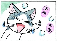 「チーズスイートホーム」より。