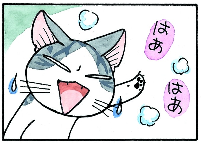 「チーズスイートホーム」より。