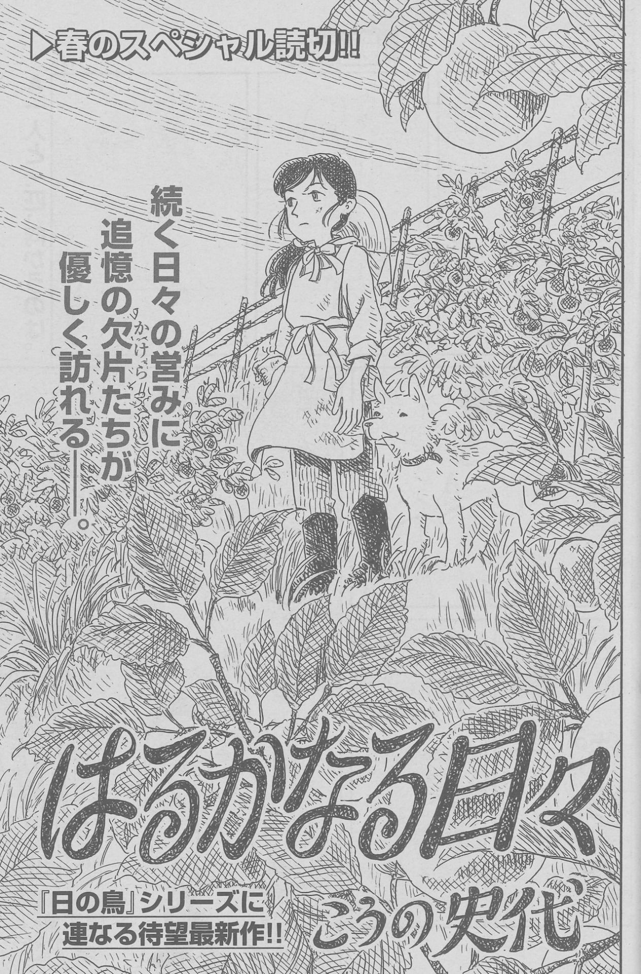 「はるかなる日々」の扉ページ。(c)こうの史代／日本文芸社