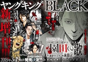 ヤングキングBLACKの告知画像。