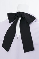 ザークシーズ＝ブレイクモデルのブラウス。