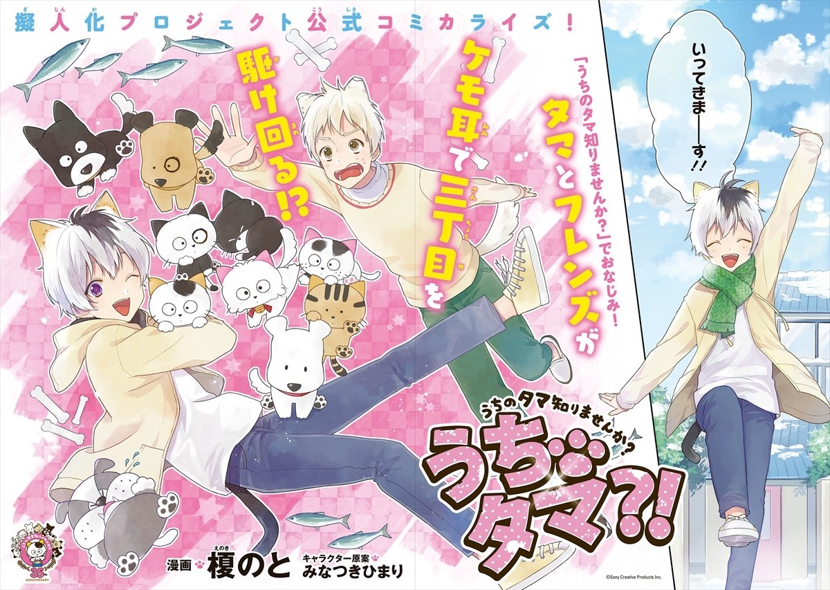 「うちタマ?!」第1話より。