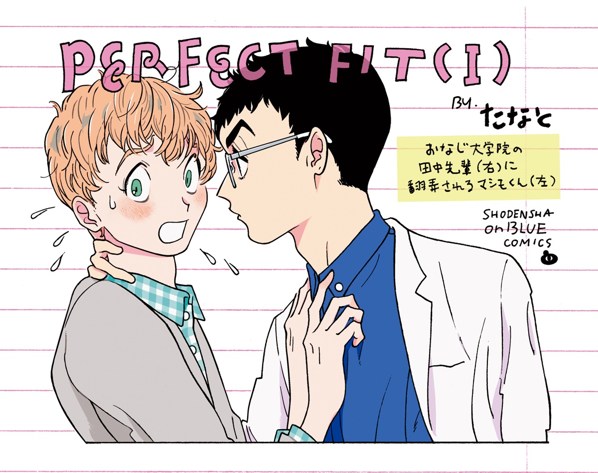 「PERFECT FIT」店頭販促用POP