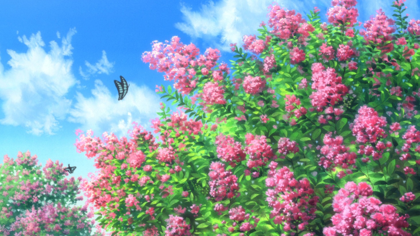 「劇場版 夏目友人帳 ～うつせみに結ぶ～」の先行場面カット。