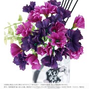 「フラワーディフューザー　蔵馬のシマネキ草」