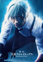 舞台「文豪ストレイドッグス」第1弾のBlu-ray / DVDパッケージ。