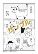 「猫のとらじの長い一日」より。