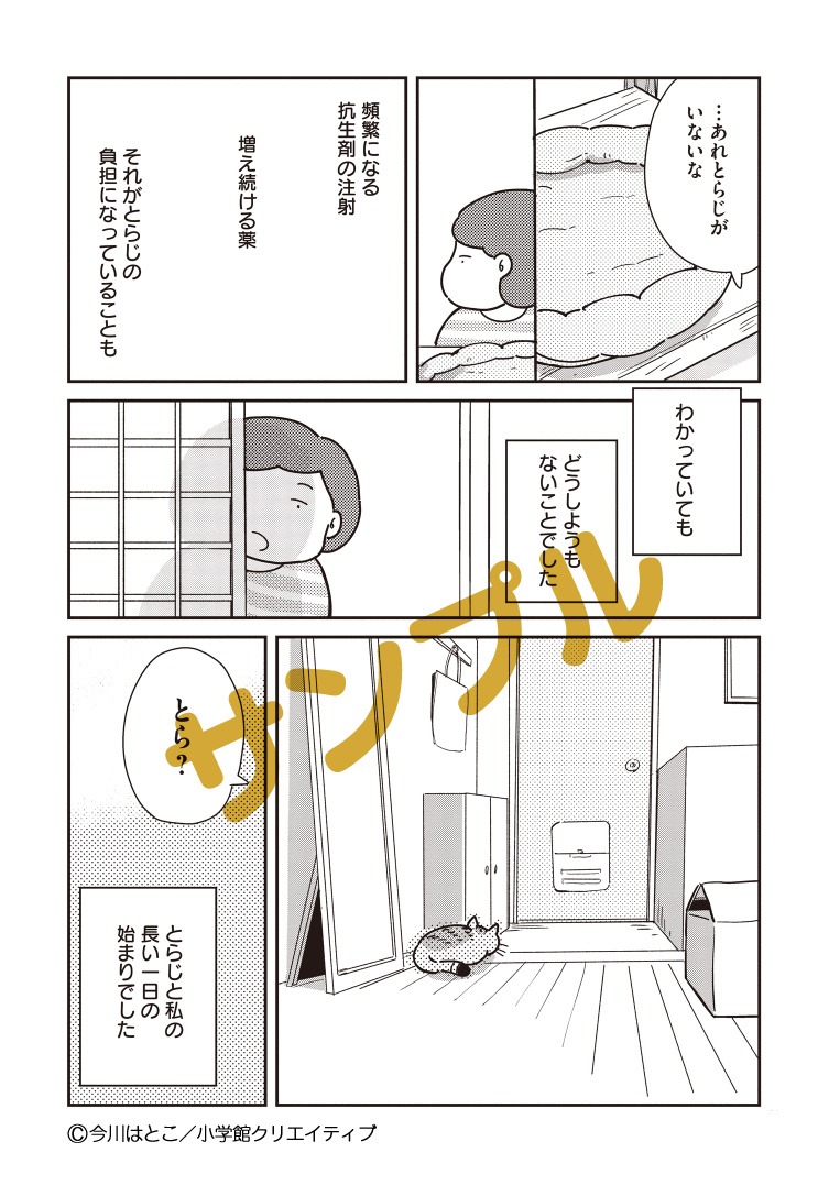 「猫のとらじの長い一日」より。
