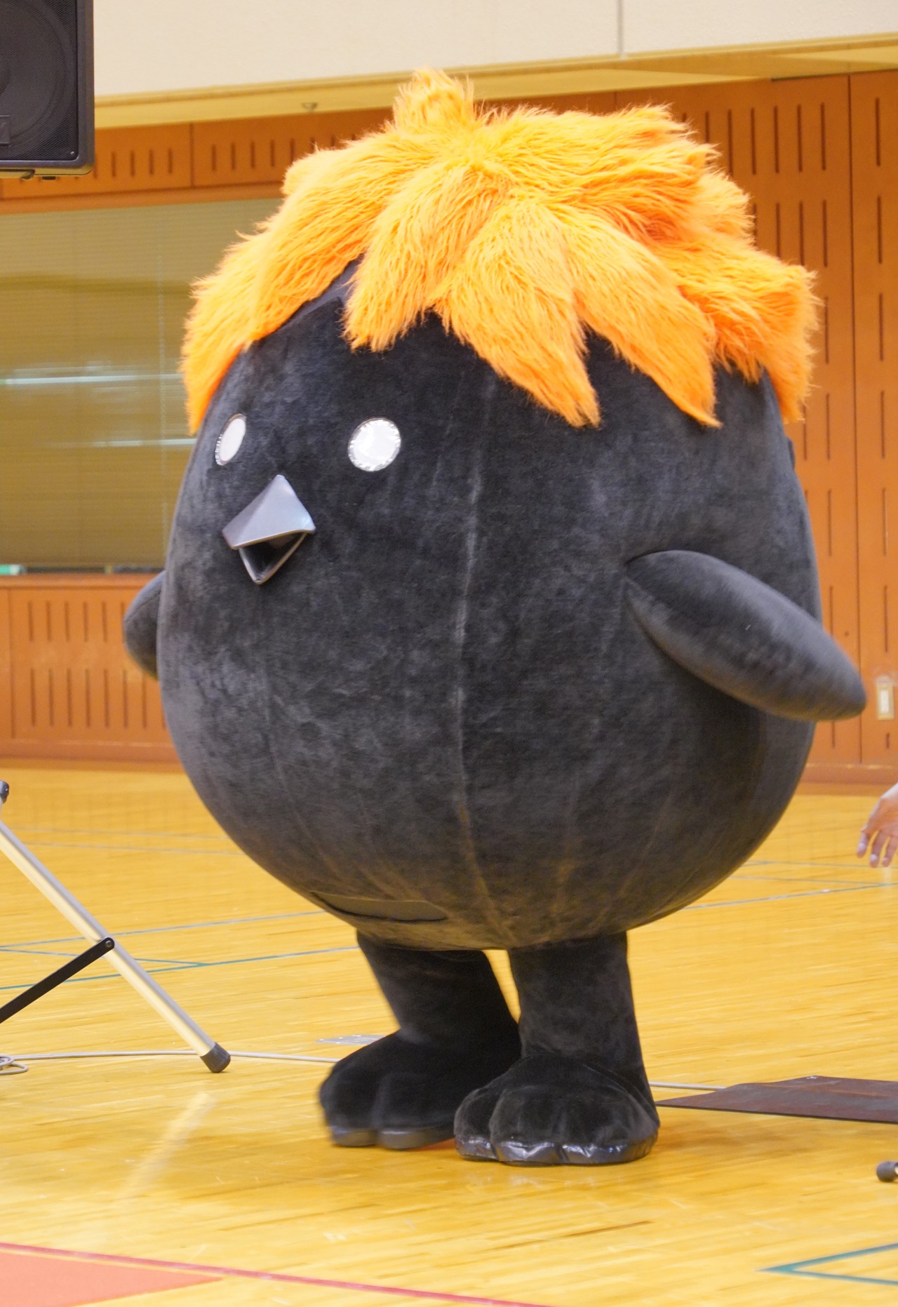 ヒナガラス